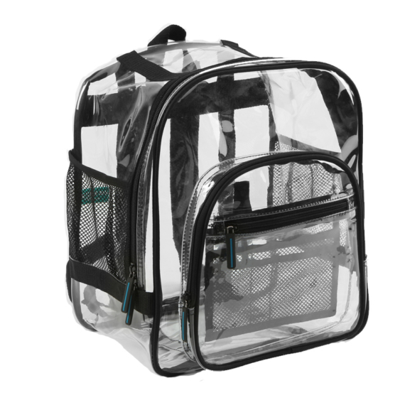 Medium Transparent Backpack